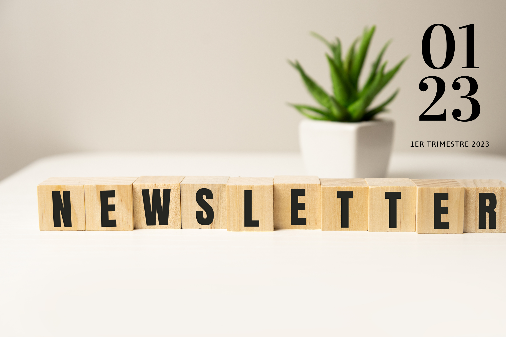 Newsletter Janvier 2023